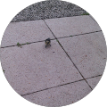 Matthias Seehaus profile picture